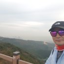 차병철치과의원 네이버블로그