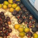 영대농장 이미지