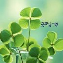 햇살의료기 Daum카페