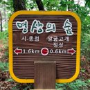 두개비산로_1 이미지