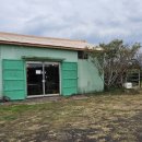 금오름농장 이미지