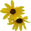 히트헬스클럽 | 팔리는 기획, 살아남는 브랜드(冊)