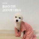강아지 옷 만들기 이미지