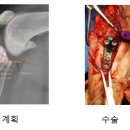 미사동물병원 이미지