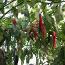 합천푸드뱅크 이미지