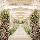 쇼펠리스 이미지