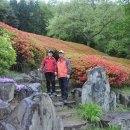 화순목장 이미지