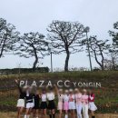 스피드프라자 | 플라자cc 용인 타이거 코스 회원제 골프장 벚꽃 라운드 후기(그린스피드, 레스토랑 가격)