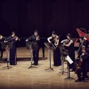 여름방학 클래식 <이상한 나라의 디토> 이미지