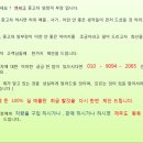 차동개 네이버블로그