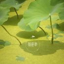 다산1리 이미지