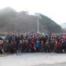 다리목농장 | 허굴산 (합천)