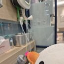 경희아이사랑한의원 이미지