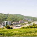 송화 이미지