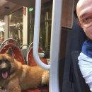 천사강아지 이미지