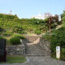 청마약국 이미지