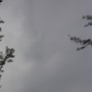 마인드에코프라움 이미지