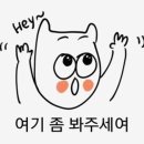 신라스테이플러스 이호테우 이미지