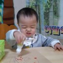 크레아트스쿨어린이집 이미지