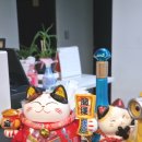 달달스테이 | 강릉 료칸스테이 사천해변 애견동반 가능한 가성비 숙소 후기