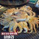 삼바리 | 울산 삼산 핫플 술집 삼바리, 봄 제철 활쭈꾸미 내돈내산 후기
