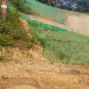 상신기1 이미지