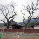 경산지역 이미지