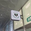 퍼피트리 이미지