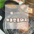 커큐민 흑돼지 | 제주성산맛집 멜조림과 두툼한 고기가 매력있는 커큐민 흑돼지 내돈내산 후기