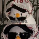 (주)텔파 | [호주 워홀] D+737 퍼스한인마트 갔다가 50불 털고온 여성