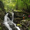 참새미골 이미지