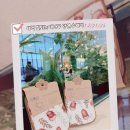 루오 | 이쁜디자인과 기름기 제거 확실한 양면수세미 루오 주방 대나무수세미