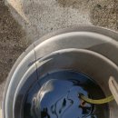 타이어타운담양점 이미지