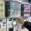 코지독하우스 | 니조시장, 마지산도, 타케에스시(초밥), 다시마젤리⭐️, 니기리메시, 다누키코지 상점가, 토시함바그,야치요