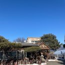 춘천닭갈비농장 | 춘천 닭갈비 현지인 맛집 | 점심 맛집 추천 항아리닭갈비막국수