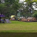 염포야영장 이미지