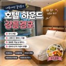 서부산관광호텔 하운드 | 내돈내산 호텔 하운드 강릉경포 후기｜조식 포함 스탠다드 테라스 더블 솔직 숙박 리뷰