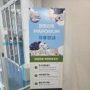 마포독서실 | [홍대 가볼만한곳] 책도 보고 휴식도 취할 수 있는 힐링공간, 마포리움 방문 후기