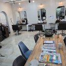 살랑살랑 반려견미용실 | 제주미용실, 이곳에서 특별한 스타일 변신을 경험했어요!