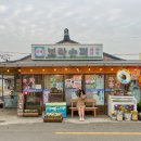 캠프이가리85 이미지