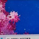 당연이 이미지