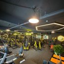 하이브짐(Hive Gym) 네이버블로그