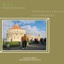 피자 알볼로 양구점 이미지