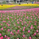 낙동강관리본부 화명생태공원 12 이미지