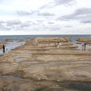 대진해변 이미지