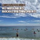 먹방 | 부산 해운대 여름 휴가 파라다이스 부산 수영장 &amp; 조새호 조개구이 먹방 후기