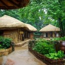 조원관광진흥(주) 이미지