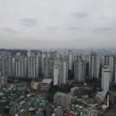 청림동 푸른숲 이미지