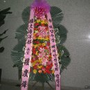 한국수상안전협회