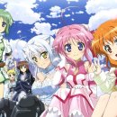 도그판타지 이미지